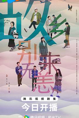 郑州设计网站优化公司